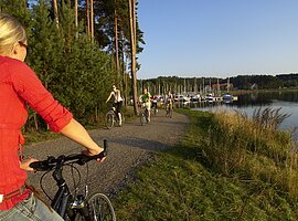 Einer Frau auf dem Rad begegnet auf einem Radweg direkt am See einer Gruppe anderer Radfahrer. Der Weg führt vorbei an Bäumen und Sträuchern sowie einem kleinen Segelhafen.