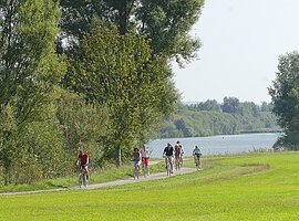 Eine Gruppe Radler fährt auf einem Uferweg entlang grüner Wiesen und Bäume. Im Hintergund sieht man einen See.