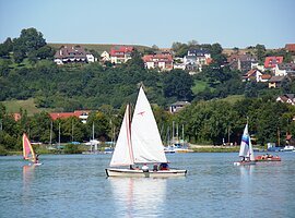 Ein weißes Segelschiff auf einem See. Daneben Windsurfer. Im Hintergund am Ufer Bäume. Etwas weiter hinten Wohnhäuser.