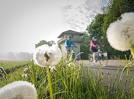 Zwei Radfahrer, eine Frau und ein Mann, fahren  den Limesturm vorbei. Beide tragen einen Fahrradhelm. Im Vordergrund sind einige Pusteblumen im Gras zu sehen. Der Himmel ist bewölkt.