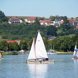 Ein weißes Segelschiff auf einem See. Daneben Windsurfer. Im Hintergund am Ufer Bäume. Etwas weiter hinten Wohnhäuser.