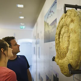 Eine Frau mit langen, braunen Haaren und ein braunhaariger Mann schauen sich interessiert eine Rekonstruktion eines Ammoniten in der Ausstellung im Informationszentrum im 1.Stock an.