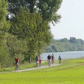 Eine Gruppe Radler fährt auf einem Uferweg entlang grüner Wiesen und Bäume. Im Hintergund sieht man einen See.