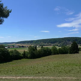 Grüne Wiesen und Bäume sieht man bei dem Ausblick über die Mauerner Höhlen.