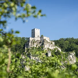 Die Anlage besteht aus dem etwa 35 m hohen Bergfried aus Buckelquadern und dem gegenüberliegenden Palas. Sie sitzt auf einer Felskuppe oberhalb Wellheims, umgeben von Wäldern.
