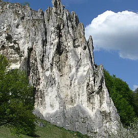 Felsformation mit steiler weiß-grauer Oberfläche, davor Wiese, Bäume und Verkehrsschilder bei blauem Himmel.