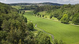 Tal mit gr&uuml;nem Gras, B&auml;umen, kleinem Bach und Dorf im Hintergrund unter blauem Himmel
