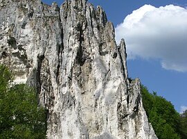 Dohlenfelsen bei Konstein Felsformation mit steiler weiß-grauer Oberfläche, davor Wiese, Bäume und Verkehrsschilder bei blauem Himmel.
