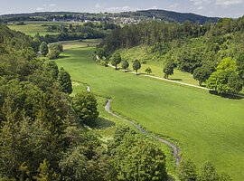 Tal mit gr&uuml;nem Gras, B&auml;umen, kleinem Bach und Dorf im Hintergrund unter blauem Himmel