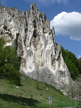 Felsformation mit steiler wei&szlig;-grauer Oberfl&auml;che, davor Wiese, B&auml;ume und Verkehrsschilder bei blauem Himmel.