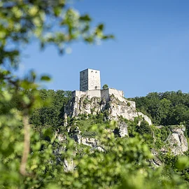 Burgruine auf einem bewaldeten Felsen unter blauem Himmel, im Vordergrund unscharfe gr&uuml;ne Bl&auml;tter.