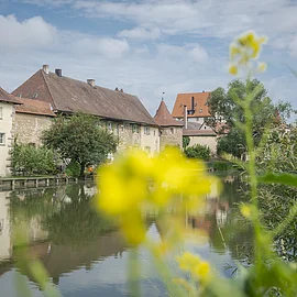 Historische Häuser mit roten Dächern am Flussufer, im Vordergrund unscharfe gelbe Blumen und grüne Pflanzen.