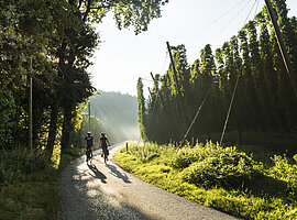 Radfahrer im Hopfenland Hallertau @Anton Mirwald