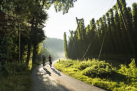 Radfahren-Hallertau