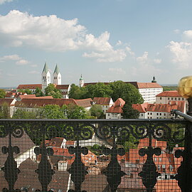 Blick auf den Freisinger Domberg @Hopfenland Hallertau