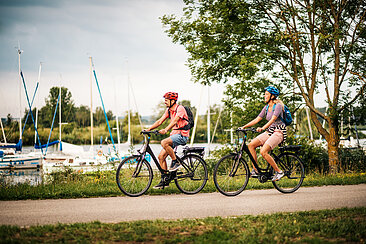Radler am Altmühltal-Radweg am Altmühlsee