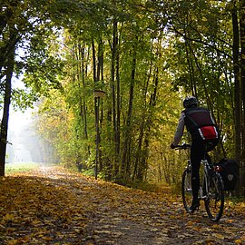 Radfahrer im Wald